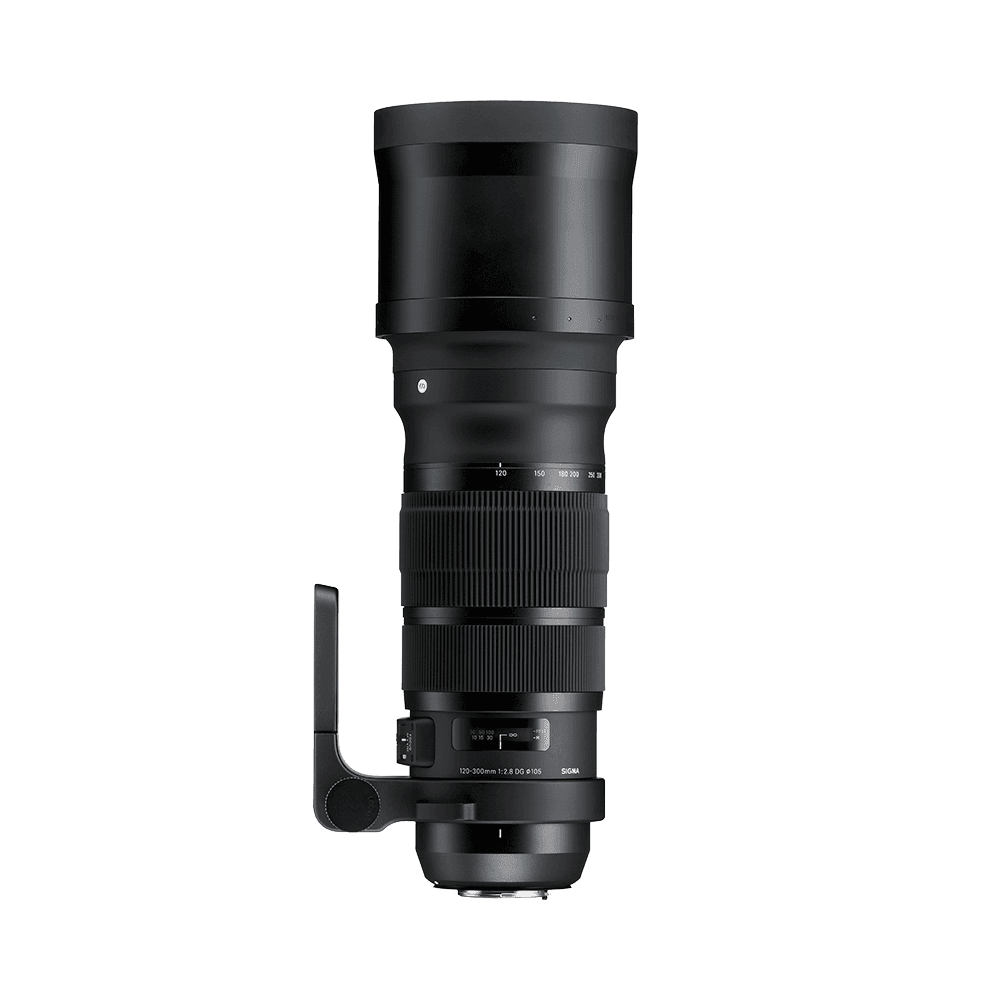 Sigma AF 120-300mm f/2.8 DG OS HSM Sports (Canon EF)