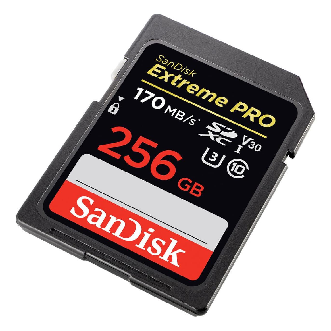 SanDisk Extreme SD PRO® v30 256gb