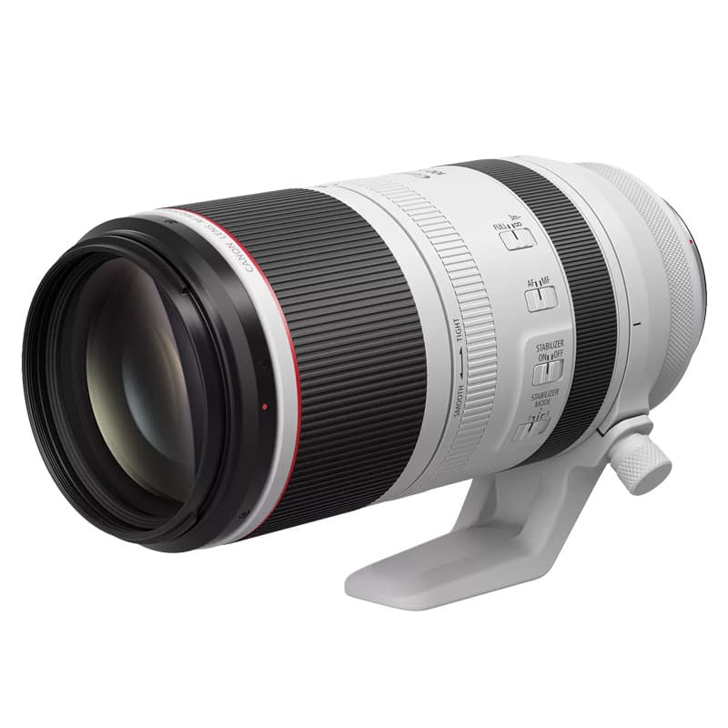 Canon RF 100-500mm f/4.5-7.1 L IS USM (Canon RF)